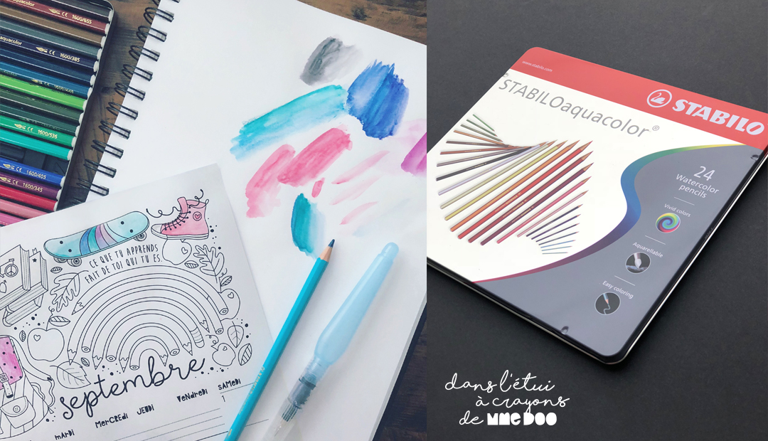 Crayons Aquarellables Stabilo Aquacolor – Boîte De 12 Couleurs Pour Effets Peinture Au Pinceau